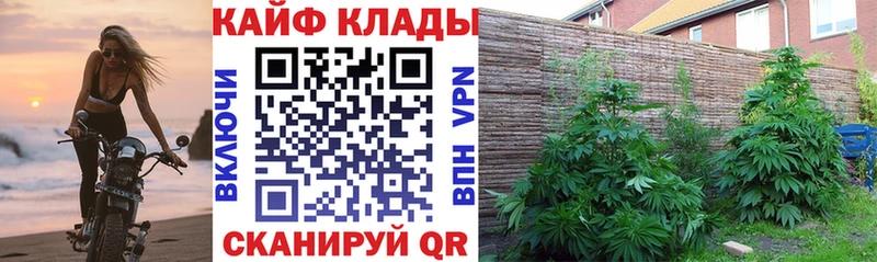 Магазин наркотиков Кувшиново АМФЕТАМИН  Каннабис  Cocaine  Псилоцибиновые грибы  ГАШ  Меф 