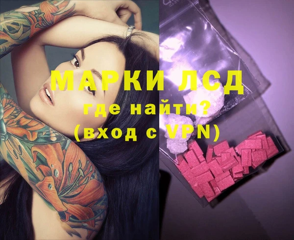 гашик Козловка