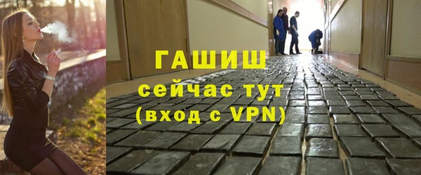 прущие грибы Коряжма