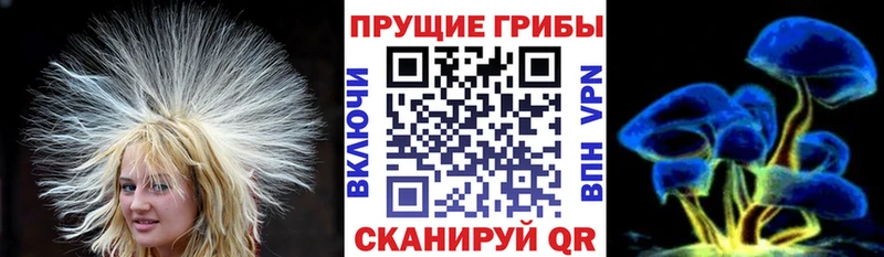 как найти закладки  Кувшиново  MEGA tor  Псилоцибиновые грибы Cubensis 